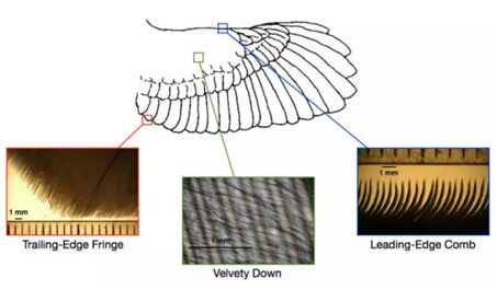 科學家研制出消音涂層 使風力發電機安靜工作