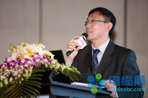 中國電力企業聯合會規劃與統計信息部副處長侯勇 中國電力企業聯合會規劃與統計信息部副處長侯勇