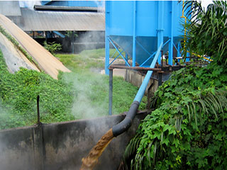 印尼生物質發電容量有望擴大 印尼生物質發電容量有望擴大