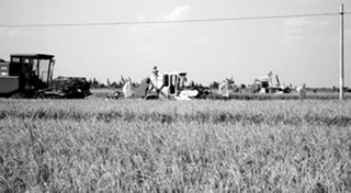 寧夏惠農率先實現農村光纖入戶全覆蓋 寧夏惠農率先實現農村光纖入戶全覆蓋