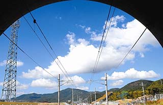 һN|W(wng)̶̥ߡ@͌C